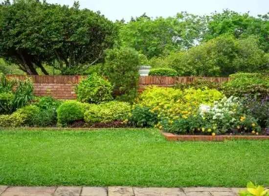 landscaping services Ashton-Sandy Spring